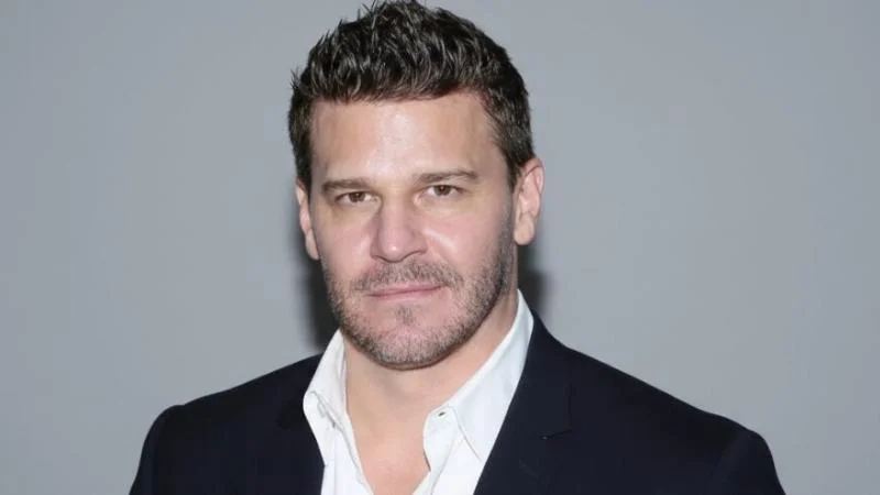 Who Is David Borhaz? A Closer Look at His Life, Work, and Achievements